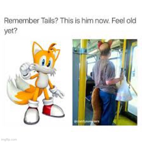 image tagged in tails the fox | made w/ Imgflip meme maker