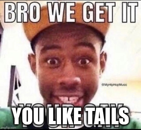 BRO WE GET IT YOU'RE GAY | YOU LIKE TAILS | image tagged in bro we get it you're gay | made w/ Imgflip meme maker