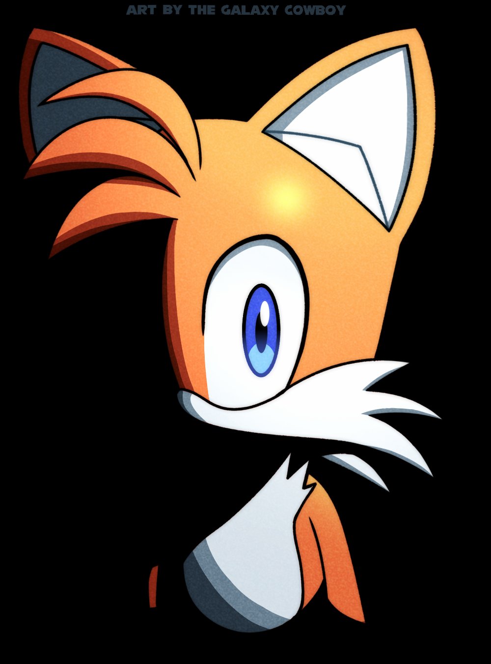Tails stare Blank Meme Template
