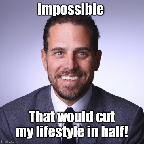 Hunter Biden | Impossible That would cut my lifestyle in half! | image tagged in hunter biden | made w/ Imgflip meme maker