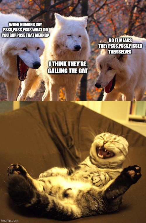 WHEN HUMANS SAY PSSS,PSSS,PSSS,WHAT DO YOU SUPPOSE THAT MEANS? NO IT MEANS THEY PSSS,PSSS,PISSED THEMSELVES; I THINK THEY'RE CALLING THE CAT | image tagged in 2/3 wolves laugh,laughing cat | made w/ Imgflip meme maker
