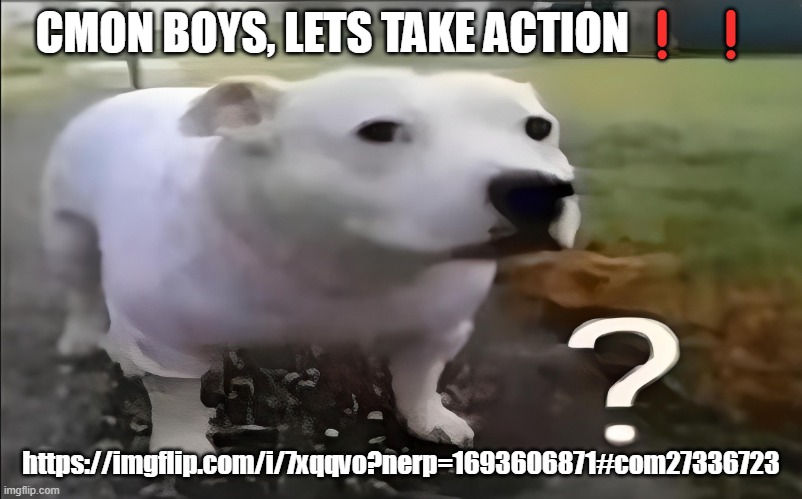 https://imgflip.com/i/7xqqvo?nerp=1693606871#com27336723 | CMON BOYS, LETS TAKE ACTION❗❗; https://imgflip.com/i/7xqqvo?nerp=1693606871#com27336723 | image tagged in huh dog | made w/ Imgflip meme maker