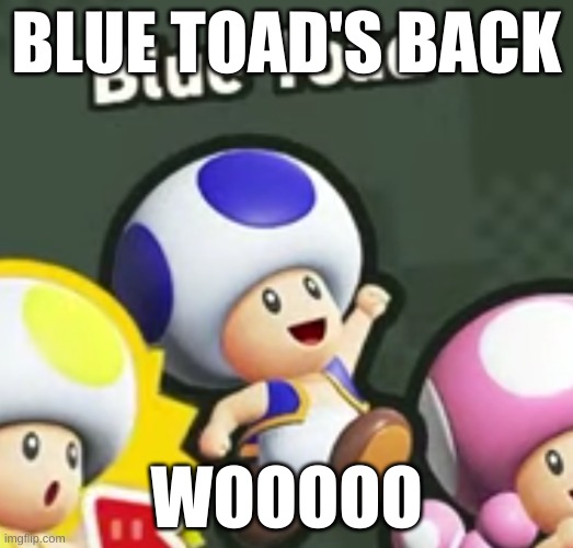 FINALLY | BLUE TOAD'S BACK; WOOOOO | image tagged in its been so long | made w/ Imgflip meme maker