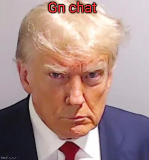 Trump mugshot | Gn chat | image tagged in trump mugshot | made w/ Imgflip meme maker