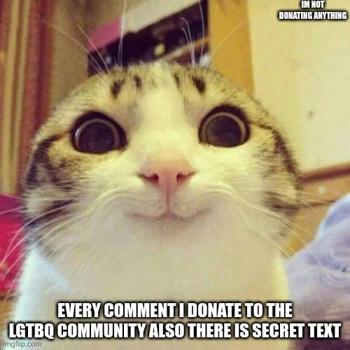 ;) | IM NOT DONATING ANYTHING; EVERY COMMENT I DONATE TO THE LGTBQ COMMUNITY ALSO THERE IS SECRET TEXT | image tagged in memes,smiling cat | made w/ Imgflip meme maker