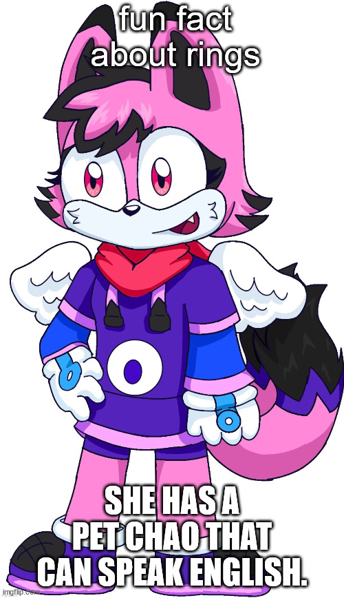 rings the cat (art by lilnuggie) | fun fact about rings; SHE HAS A PET CHAO THAT CAN SPEAK ENGLISH. | image tagged in rings the cat art by lilnuggie | made w/ Imgflip meme maker