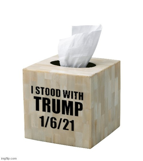 I Stood with TRUMP | image tagged in waaah,cry babies,i stood with trump,lock them up,maga,tissue | made w/ Imgflip meme maker