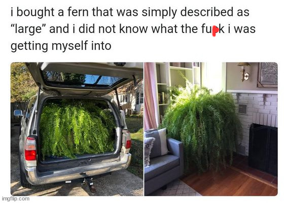 image tagged in memes,funny | made w/ Imgflip meme maker
