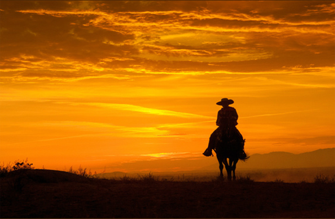 Cowboy riding horse sunset Blank Meme Template
