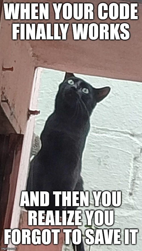 Don't save file | WHEN YOUR CODE FINALLY WORKS; AND THEN YOU REALIZE YOU FORGOT TO SAVE IT | image tagged in cats | made w/ Imgflip meme maker