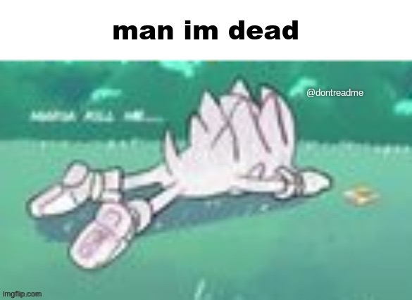 shadow man im dead | image tagged in shadow man im dead | made w/ Imgflip meme maker