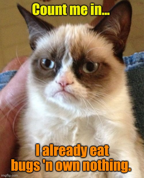 Grumpy Cat Meme | Count me in... I already eat bugs 'n own nothing. | image tagged in memes,grumpy cat | made w/ Imgflip meme maker