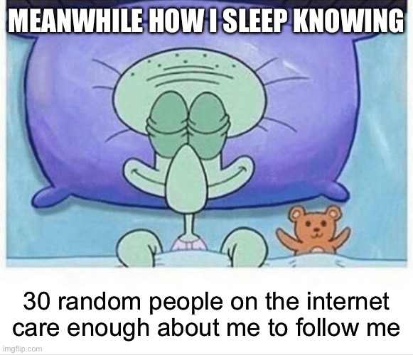 Squidward how i sleep | MEANWHILE HOW I SLEEP KNOWING 30 random people on the internet care enough about me to follow me | image tagged in squidward how i sleep | made w/ Imgflip meme maker