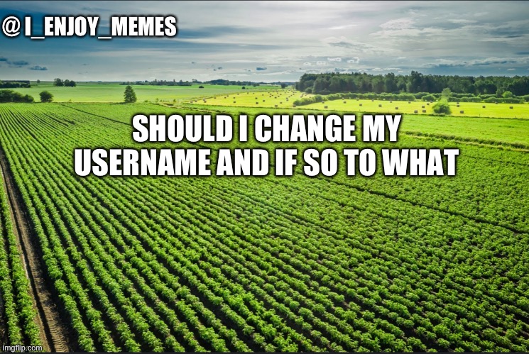 I_enjoy_memes_template | SHOULD I CHANGE MY USERNAME AND IF SO TO WHAT | image tagged in i_enjoy_memes_template | made w/ Imgflip meme maker