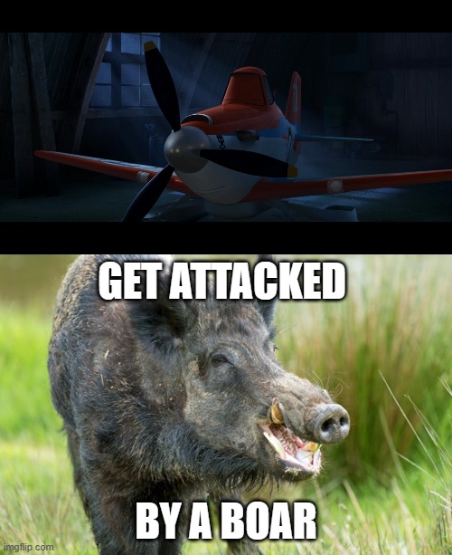 GET ATTACKED; BY A BOAR | image tagged in snowflake,boar | made w/ Imgflip meme maker