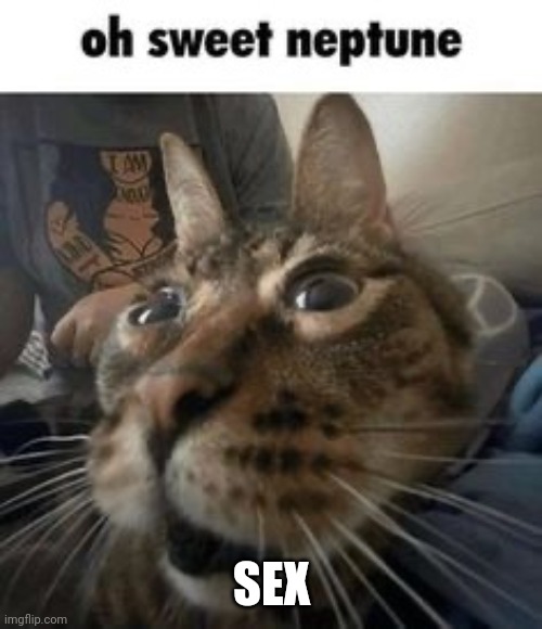 oh sweet neptune | SEX | image tagged in oh sweet neptune | made w/ Imgflip meme maker