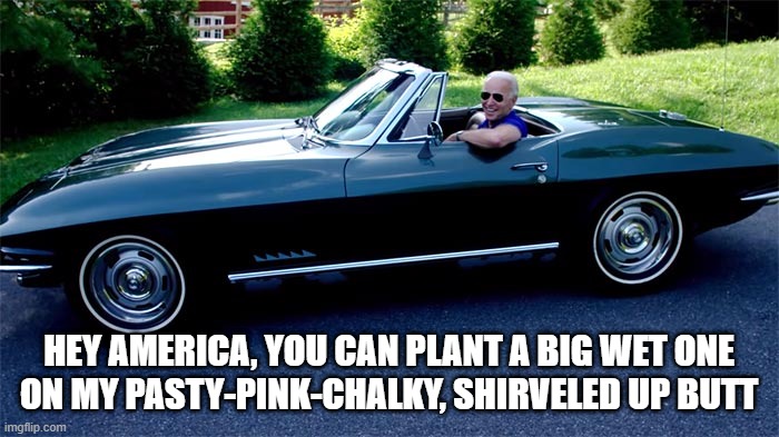 HEY AMERICA, YOU CAN PLANT A BIG WET ONE
ON MY PASTY-PINK-CHALKY, SHIRVELED UP BUTT | made w/ Imgflip meme maker