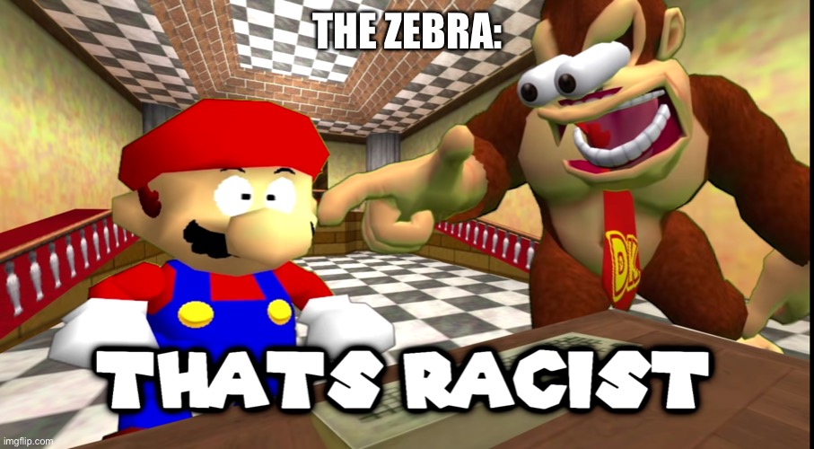 DK says that's racist | THE ZEBRA: | image tagged in dk says that's racist | made w/ Imgflip meme maker