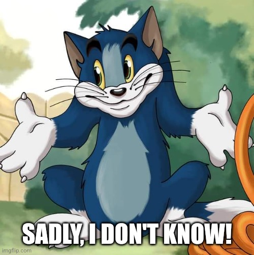 Tom and Jerry - Tom Who Knows HD | SADLY, I DON'T KNOW! | image tagged in tom and jerry - tom who knows hd | made w/ Imgflip meme maker