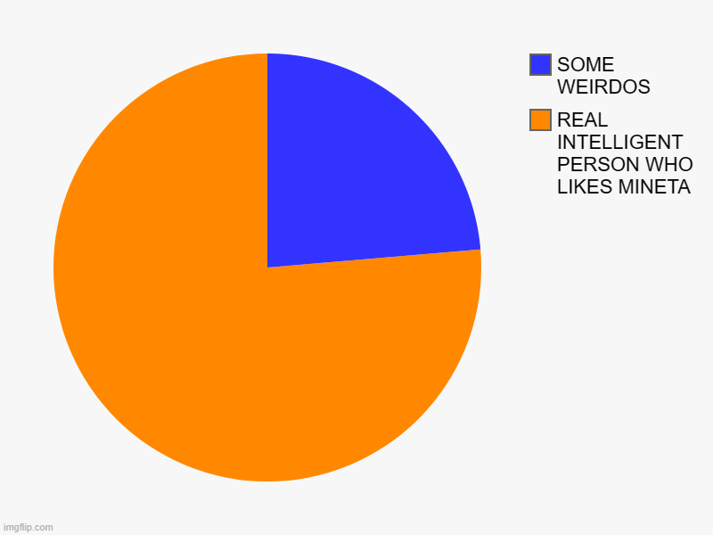 REAL INTELLIGENT PERSON WHO LIKES MINETA, SOME WEIRDOS | image tagged in charts,pie charts | made w/ Imgflip chart maker