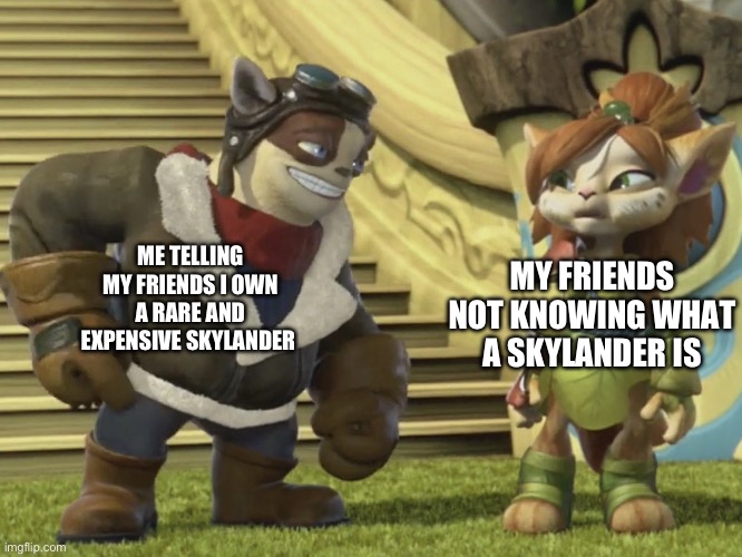 Tessa Confused by Flynn | MY FRIENDS NOT KNOWING WHAT A SKYLANDER IS; ME TELLING MY FRIENDS I OWN A RARE AND EXPENSIVE SKYLANDER | image tagged in tessa confused by flynn | made w/ Imgflip meme maker