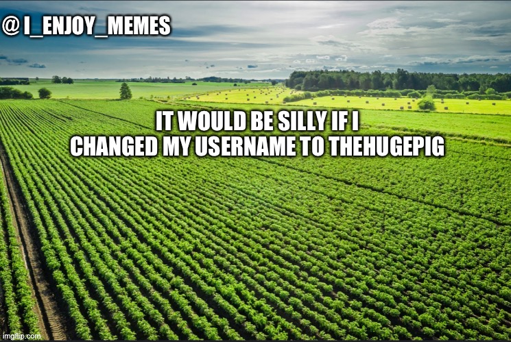 I_enjoy_memes_template | IT WOULD BE SILLY IF I CHANGED MY USERNAME TO THEHUGEPIG | image tagged in i_enjoy_memes_template | made w/ Imgflip meme maker
