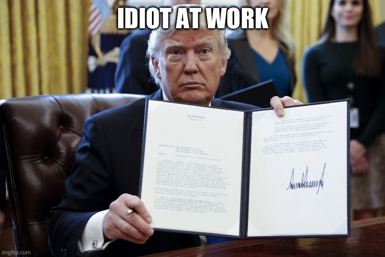 Donald Trump Executive Order | IDIOT AT WORK | image tagged in donald trump executive order | made w/ Imgflip meme maker