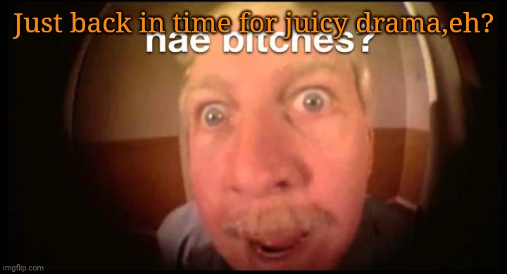 Nae bitches? | Just back in time for juicy drama,eh? | image tagged in nae bitches | made w/ Imgflip meme maker