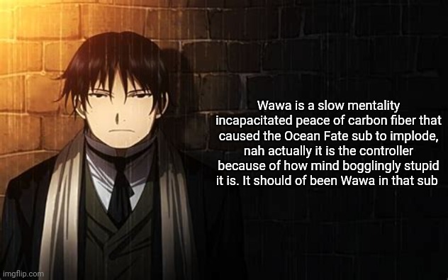 Roy Mustang | Wawa is a slow mentality incapacitated peace of carbon fiber that caused the Ocean Fate sub to implode, nah actually it is the controller because of how mind bogglingly stupid it is. It should of been Wawa in that sub | image tagged in roy mustang | made w/ Imgflip meme maker