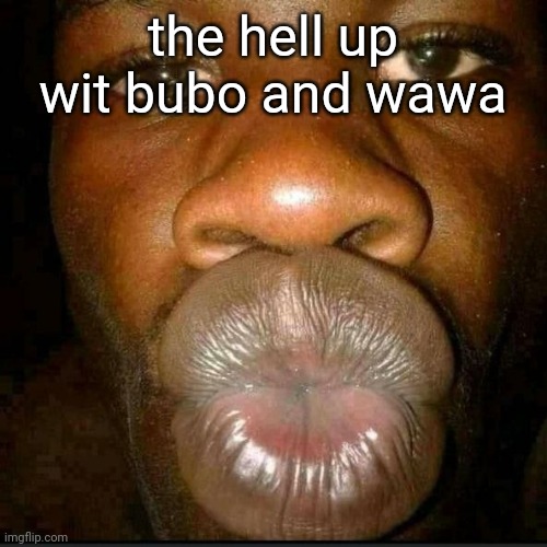 . | the hell up wit bubo and wawa | made w/ Imgflip meme maker