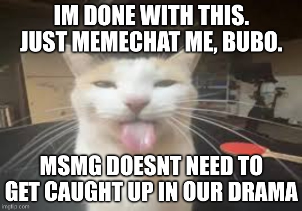 Cat | IM DONE WITH THIS. JUST MEMECHAT ME, BUBO. MSMG DOESNT NEED TO GET CAUGHT UP IN OUR DRAMA | image tagged in cat | made w/ Imgflip meme maker