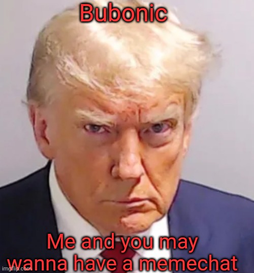 Trump mugshot | Bubonic; Me and you may wanna have a memechat | image tagged in trump mugshot | made w/ Imgflip meme maker