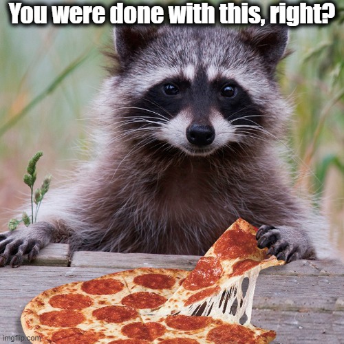 Am now | You were done with this, right? | image tagged in raccoon,pizza,raccoon pizza | made w/ Imgflip meme maker