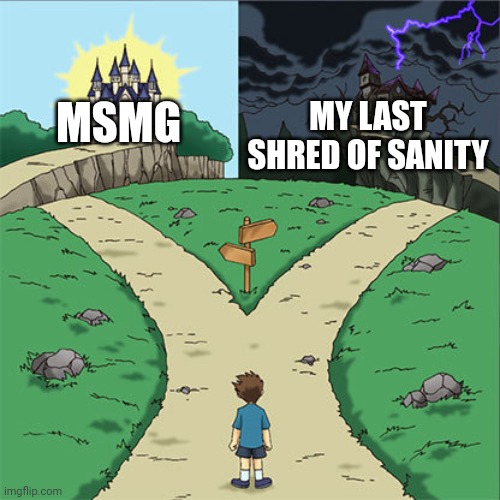 Two Paths | MSMG; MY LAST SHRED OF SANITY | image tagged in two paths | made w/ Imgflip meme maker