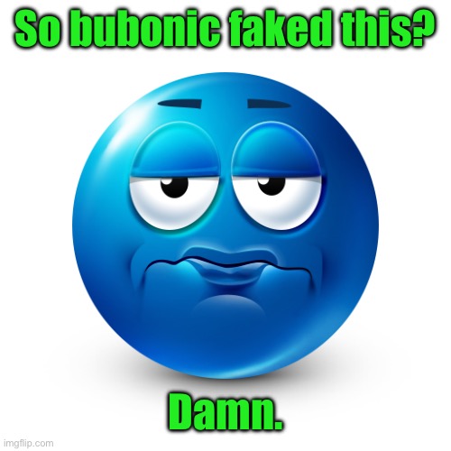 Frustrate | So bubonic faked this? Damn. | image tagged in frustrate | made w/ Imgflip meme maker