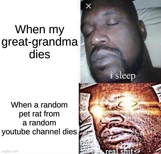 RIP poor Cape (only friendly rat forecast fans understand) | When my great-grandma dies; When a random pet rat from a random youtube channel dies | image tagged in i sleep real shit,rip,rats,family,loss,memes | made w/ Imgflip meme maker