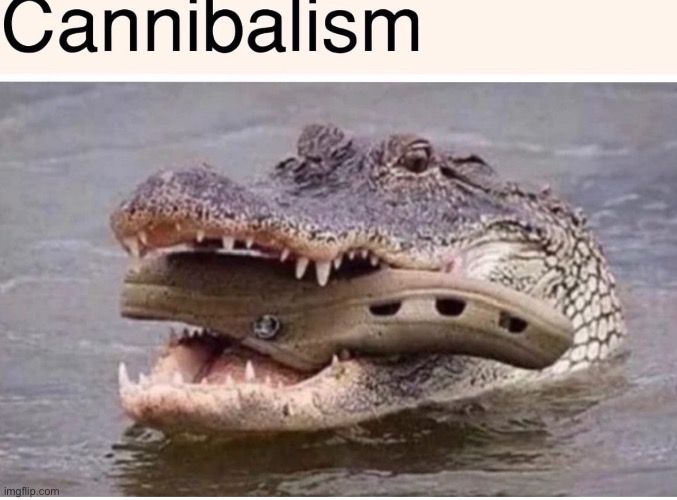 … | made w/ Imgflip meme maker