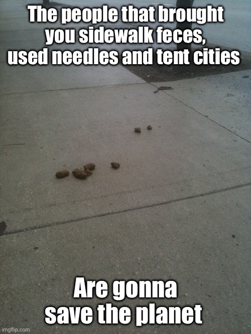 One turd at a time | The people that brought you sidewalk feces, used needles and tent cities; Are gonna save the planet | image tagged in poop turd sidewalk,politics lol,memes | made w/ Imgflip meme maker