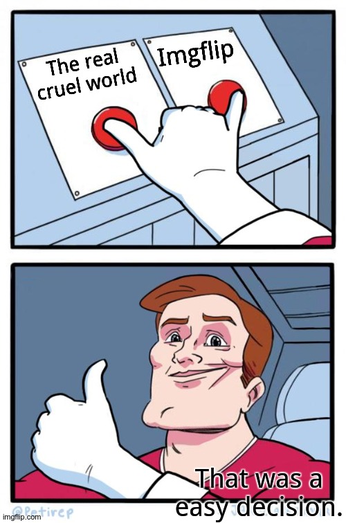 Both Buttons Pressed | The real cruel world Imgflip That was a easy decision. | image tagged in both buttons pressed | made w/ Imgflip meme maker
