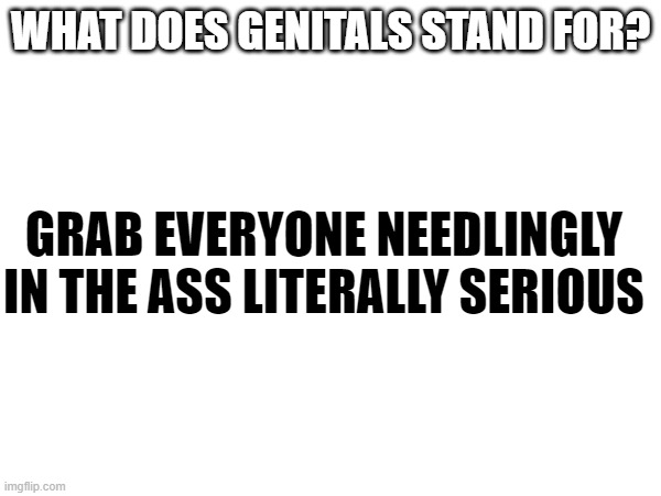 oh no | WHAT DOES GENITALS STAND FOR? GRAB EVERYONE NEEDLINGLY IN THE ASS LITERALLY SERIOUS | made w/ Imgflip meme maker