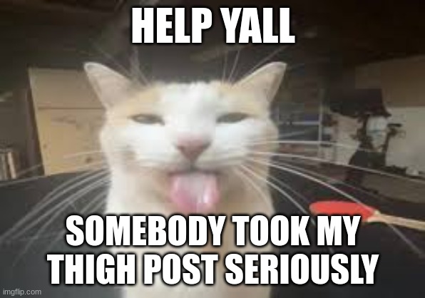 Cat | HELP YALL; SOMEBODY TOOK MY THIGH POST SERIOUSLY | image tagged in cat | made w/ Imgflip meme maker