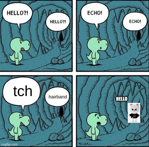 echo | tch; hairband; HELLO | image tagged in echo | made w/ Imgflip meme maker