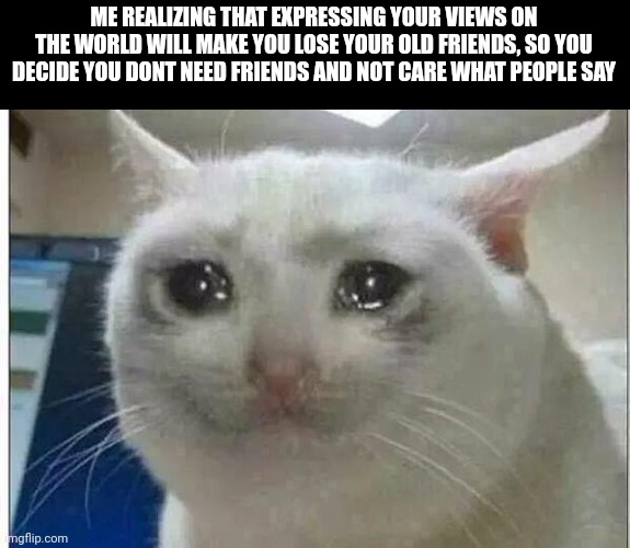 crying cat | ME REALIZING THAT EXPRESSING YOUR VIEWS ON THE WORLD WILL MAKE YOU LOSE YOUR OLD FRIENDS, SO YOU DECIDE YOU DONT NEED FRIENDS AND NOT CARE WHAT PEOPLE SAY | image tagged in crying cat | made w/ Imgflip meme maker