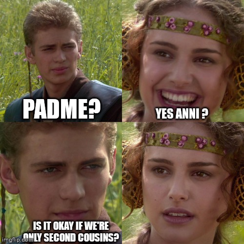 Anakin Padme 4 Panel | PADME? YES ANNI ? IS IT OKAY IF WE'RE ONLY SECOND COUSINS? | image tagged in anakin padme 4 panel | made w/ Imgflip meme maker