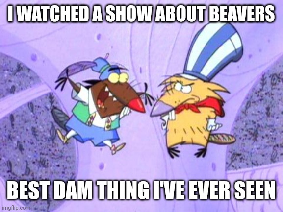 Best Dam Show | I WATCHED A SHOW ABOUT BEAVERS; BEST DAM THING I'VE EVER SEEN | image tagged in beavers,angry,tv show,puns | made w/ Imgflip meme maker