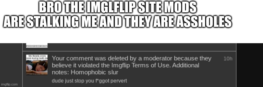 BRO THE IMGLFLIP SITE MODS ARE STALKING ME AND THEY ARE ASSHOLES | made w/ Imgflip meme maker