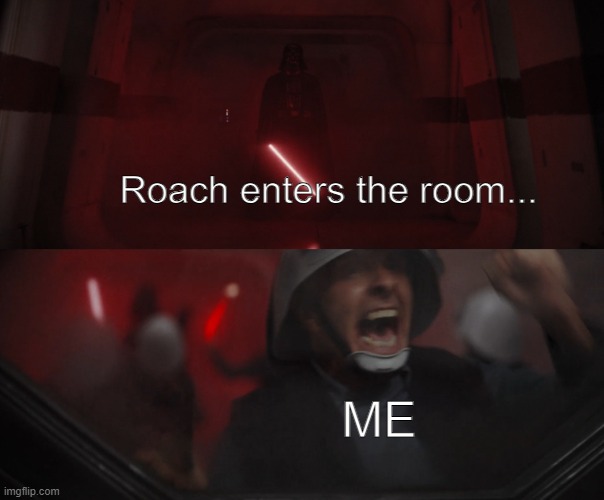 Darth Vader vs Rebel | Roach enters the room... ME | image tagged in darth vader vs rebel | made w/ Imgflip meme maker
