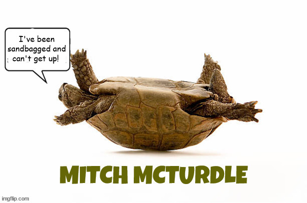 Mitch McTurdle fallen frozen & f**ked | I've been sandbagged and can't get up! | image tagged in mitch mcconnell,frozen,fallen,mctrutle,gop,flushing time | made w/ Imgflip meme maker