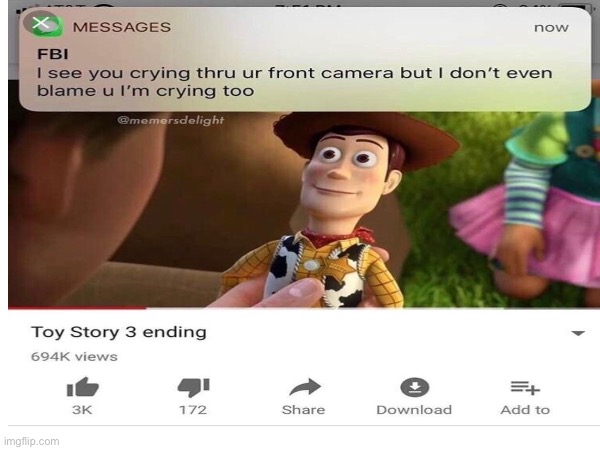 Truly sad | image tagged in sad,fbi,toy story,memes | made w/ Imgflip meme maker