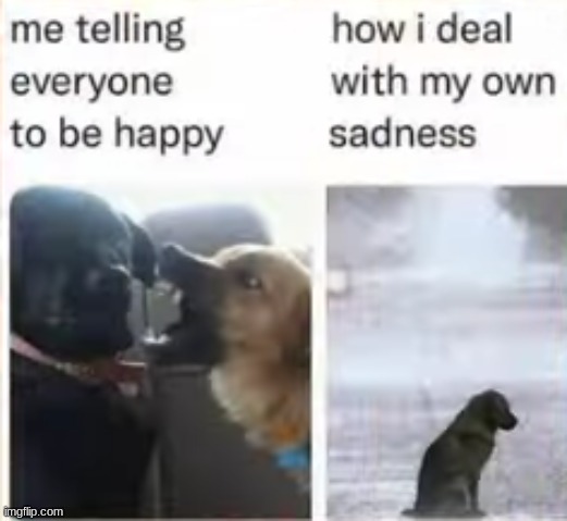 Something random | image tagged in funny,fun | made w/ Imgflip meme maker